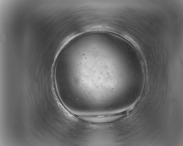 X0000052641392200507081954