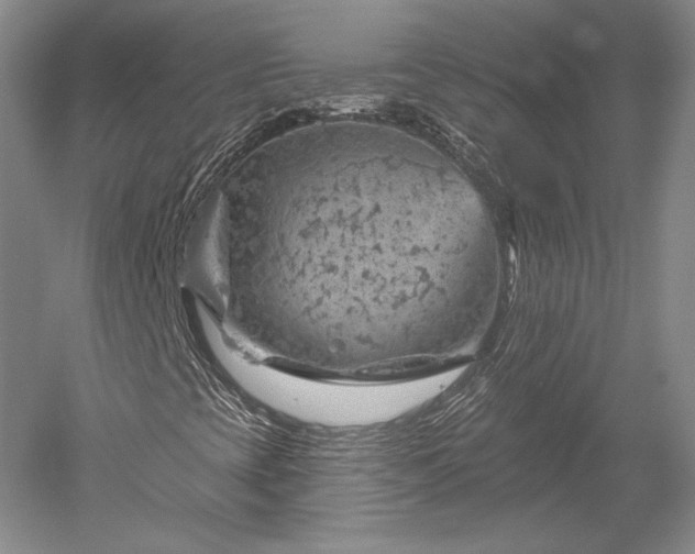 X0000052641393200507081953