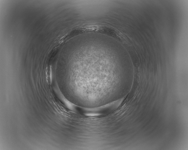 X0000052641394200507081953