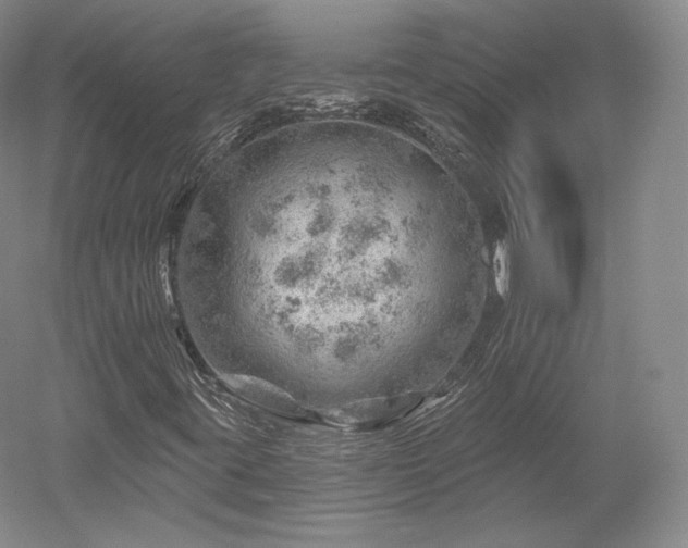 X0000052641395200507081953