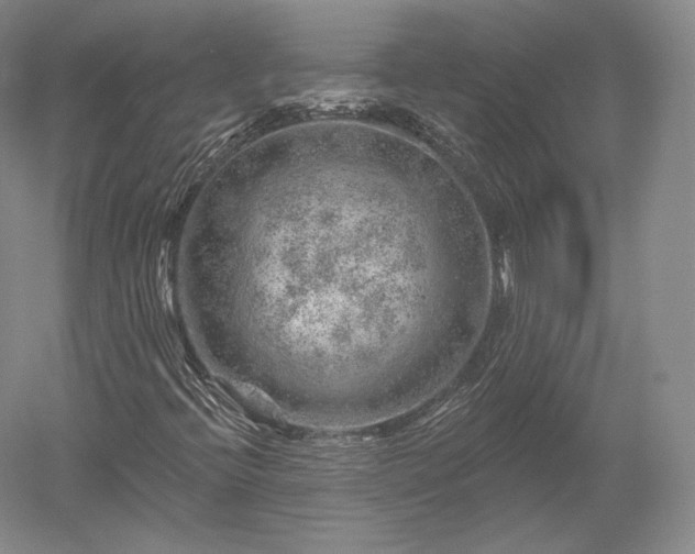 X0000052641396200507081953