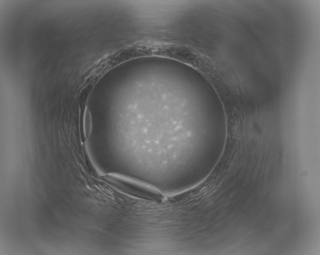 X0000052641397200507081953