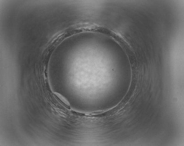 X0000052641399200507081953