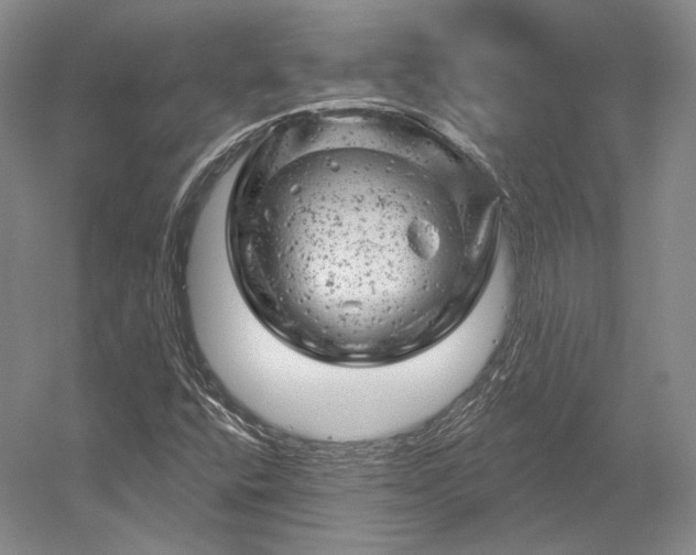 X0000052641400200507081953