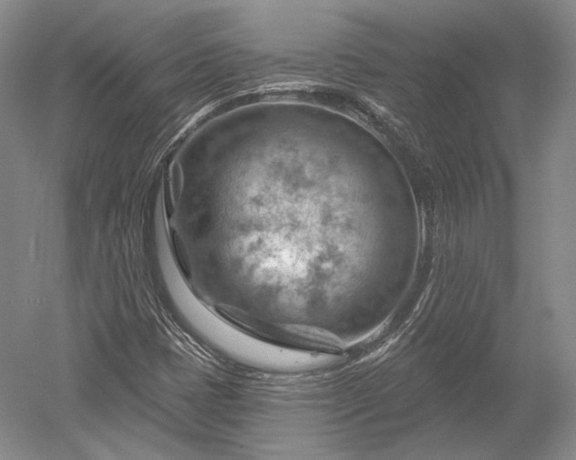 X0000052641401200507081953