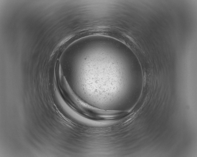 X0000052641402200507081953