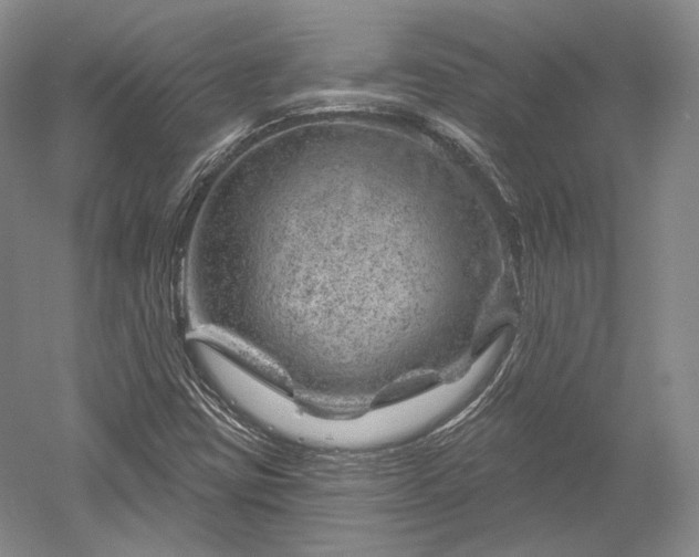 X0000052641403200507081953