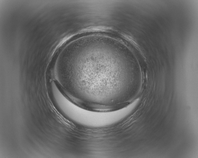 X0000052641404200507081953