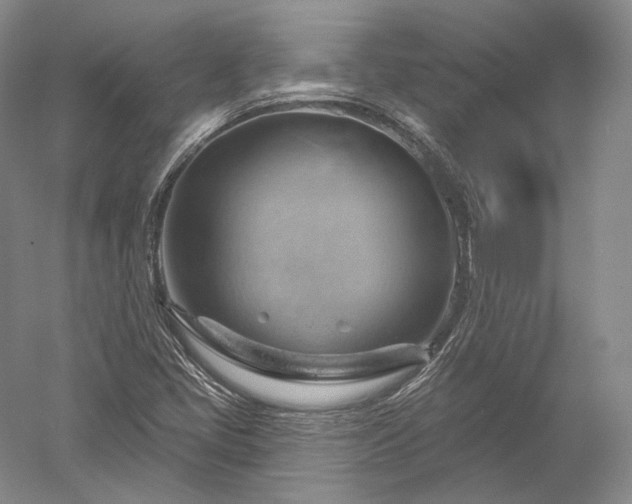 X0000052641405200507081953