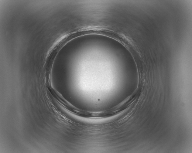 X0000052641406200507081953