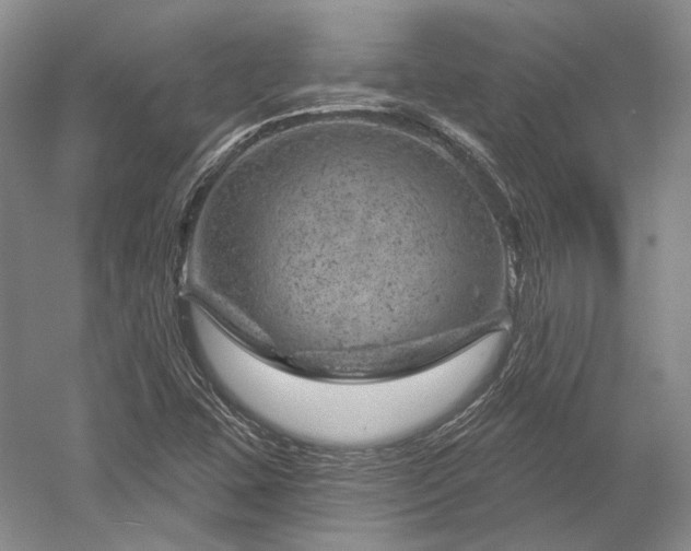 X0000052641407200507081953