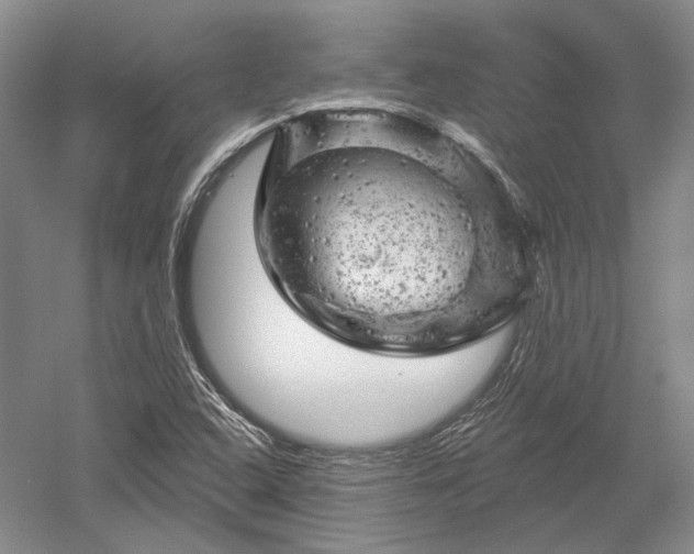 X0000052641408200507081953