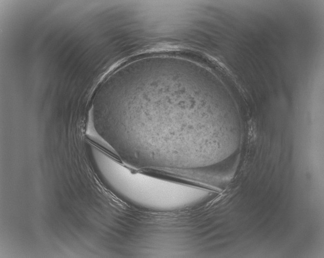 X0000052641409200507081953