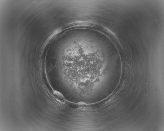 X0000052641411200507081953