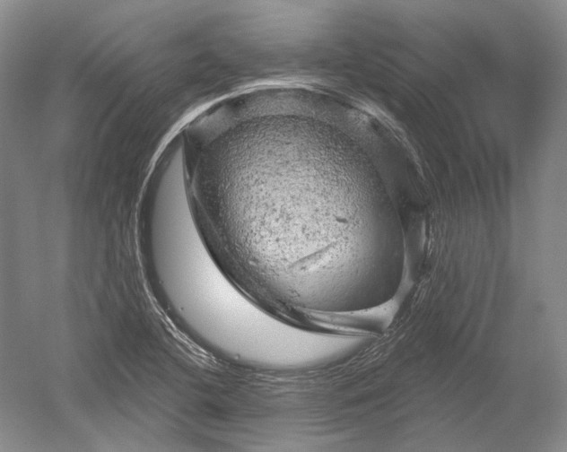 X0000052641412200507081953