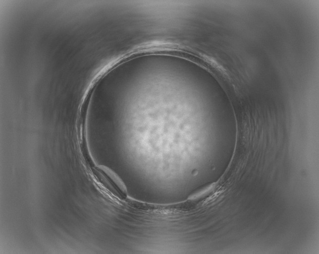 X0000052641413200507081953