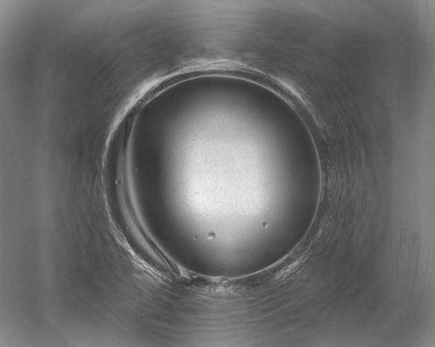 X0000052641414200507081953