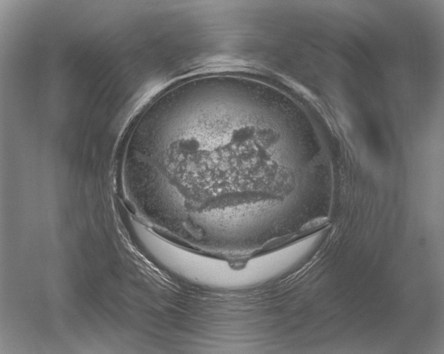 X0000052641415200507081953