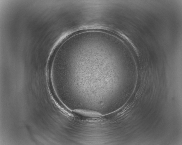 X0000052641416200507081953