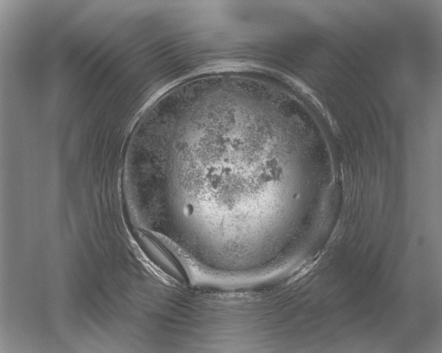 X0000052641417200507081953