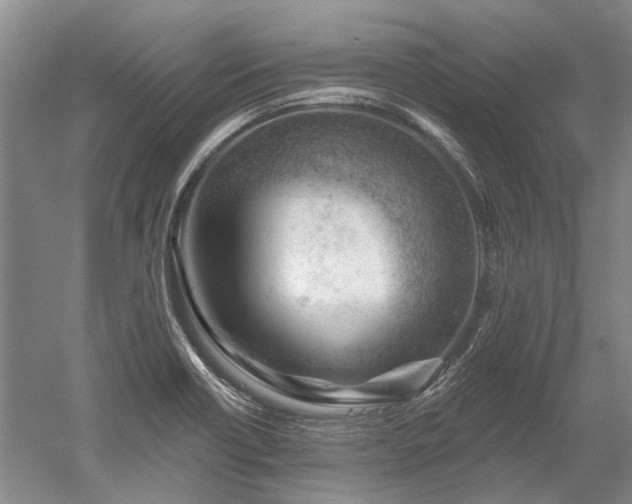 X0000052641418200507081953