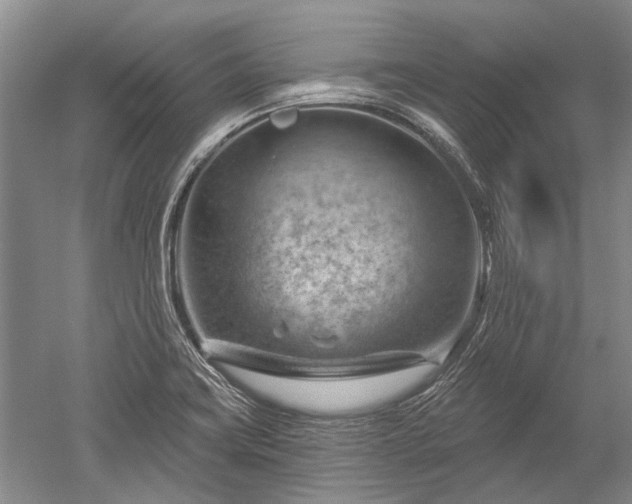 X0000052641419200507081954