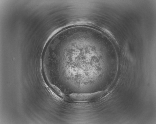 X0000052641420200507081954