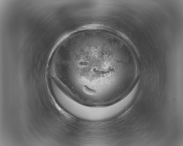 X0000052641421200507081954