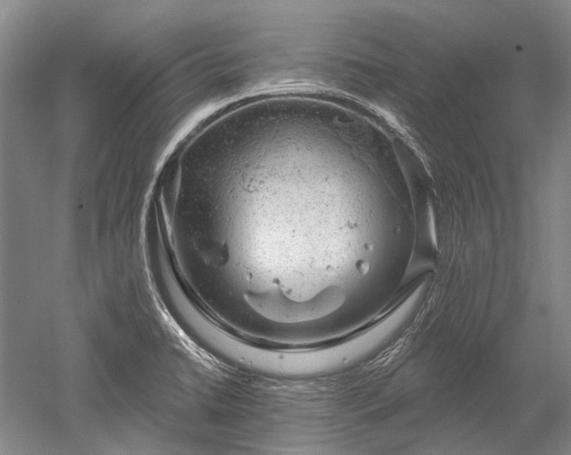 X0000052641422200507081954