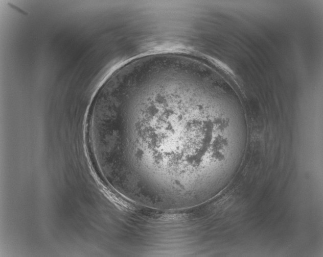 X0000052641423200507081954