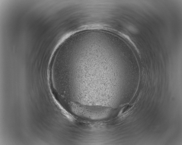 X0000052641424200507081954