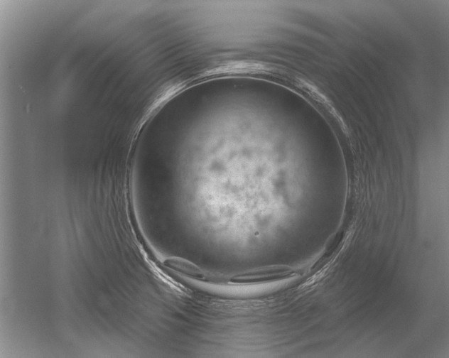 X0000052641425200507081954