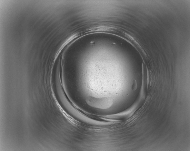 X0000052641426200507081954