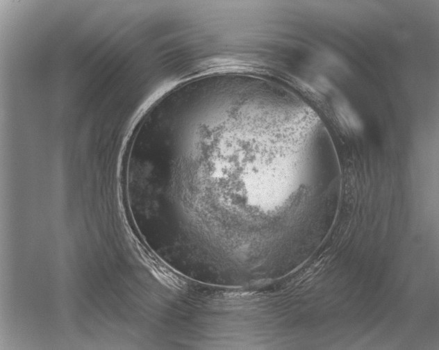 X0000052641427200507081954