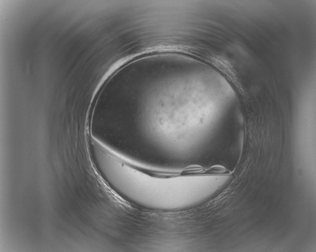 X0000052641428200507081954