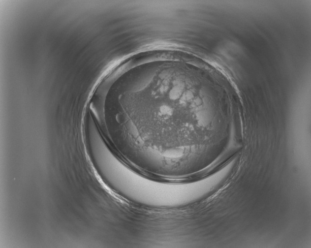 X0000052641429200507081954