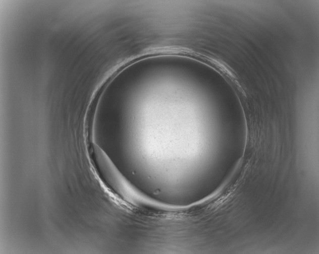 X0000052641430200507081954