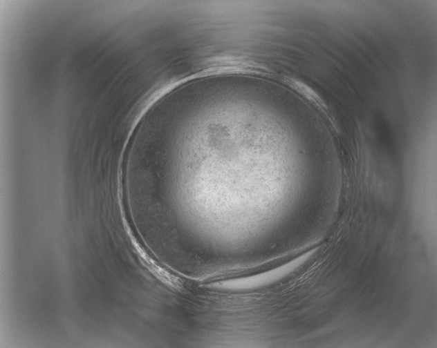 X0000052641431200507081954