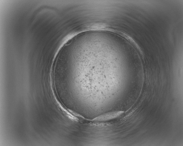 X0000052641432200507081954