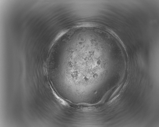 X0000052641433200507081954