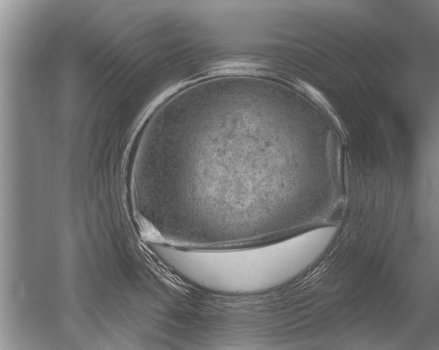 X0000052641435200507081954