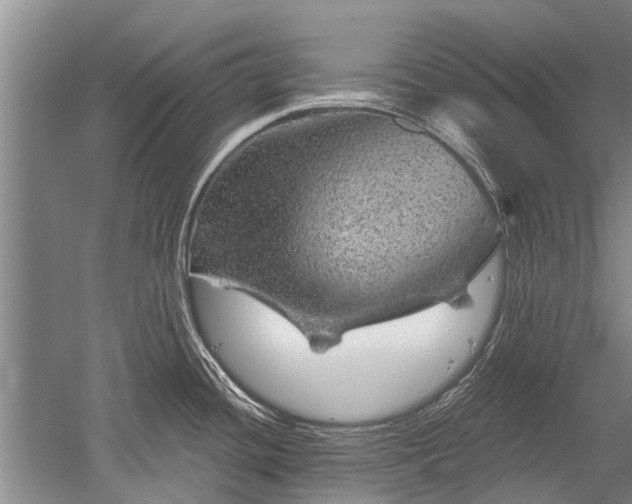 X0000052641436200507081954