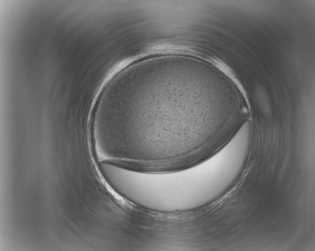 X0000052641437200507081954