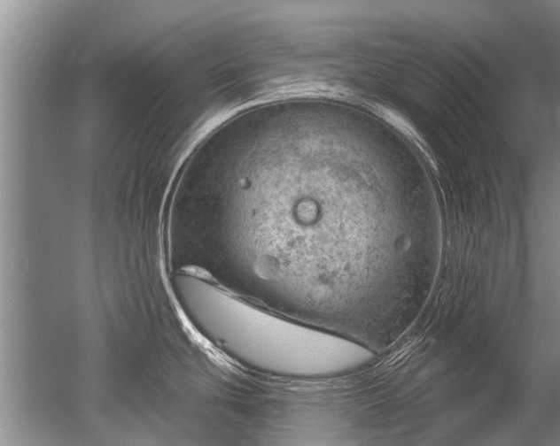 X0000052641439200507081954