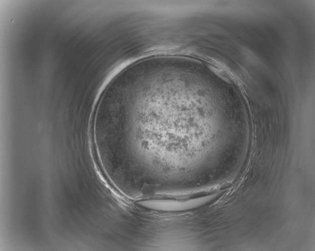 X0000052641440200507081954