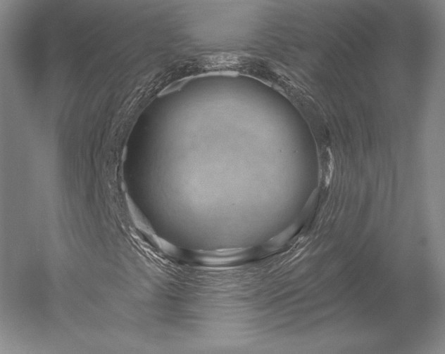 X0000052641441200507081953