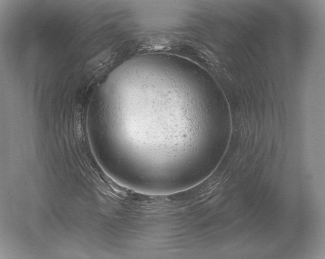 X0000052641442200507081953