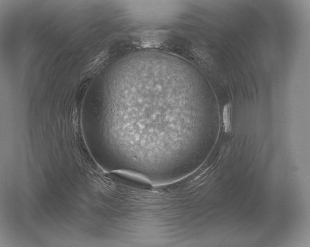 X0000052641443200507081953