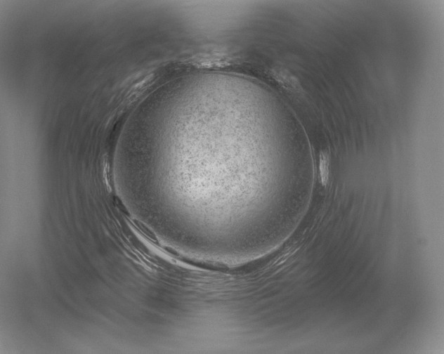 X0000052641444200507081953