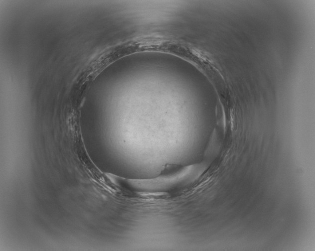 X0000052641445200507081953